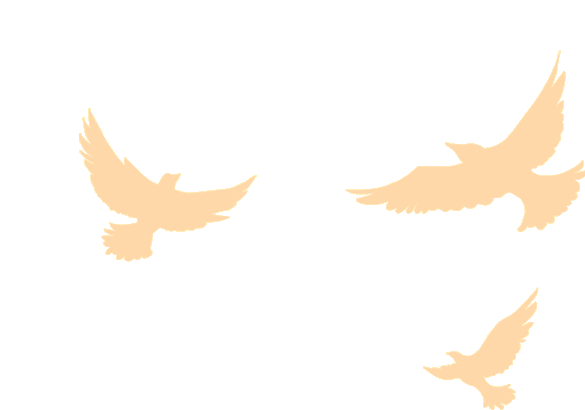 筑梦启程|珠海33474蒙特卡罗2025迎新晚会暨2024年度表彰大会 筑梦启程|珠海33474蒙特卡罗2025迎新晚会暨2024年度表彰大会