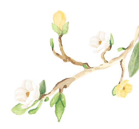 寻芳觅趣正当时,不负春光踏歌行 寻芳觅趣正当时,不负春光踏歌行