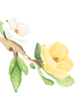 寻芳觅趣正当时,不负春光踏歌行 寻芳觅趣正当时,不负春光踏歌行