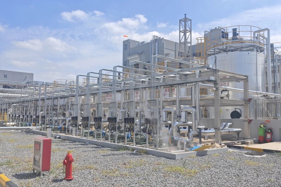 实力见证！33474蒙特卡罗FA项目团队再获迪爱生中日双方高度认可