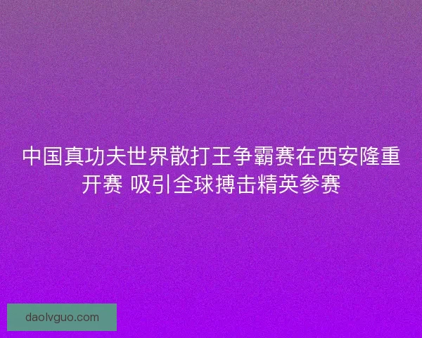 中国真功夫世界散打王争霸赛在西安隆重开赛 吸引全球搏击精英参赛 中国真功夫世界散打王争霸赛在西安隆重开赛 吸引全球搏击精英参赛