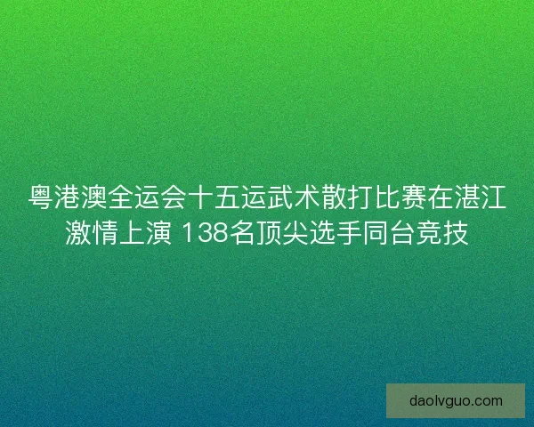 粤港澳全运会十五运武术散打比赛在湛江激情上演 138名顶尖选手同台竞技